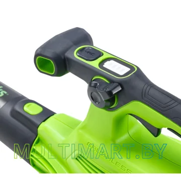 Воздуходувка Greenworks GD40BVII 2406907 (без АКБ) картинка 4